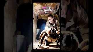 The Dropbear Spider Australias Terrifying Huntsman