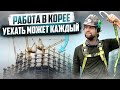 КАК УСТРОИТЬСЯ В КОРЕЕ НА РАБОТУ? МОЙ ОПЫТ РАБОТЫ ЗА ПОЛ ГОДА