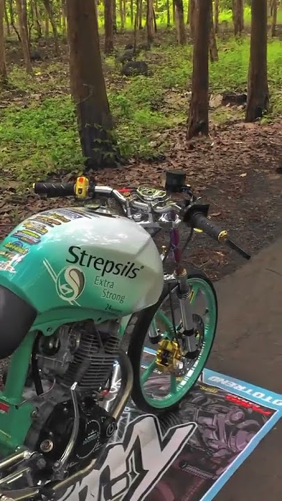 story wa herex 30 detik||status whatsapp herex tiger trondol #storywa #shorts