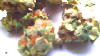 HAIRY PUSSY KUSH