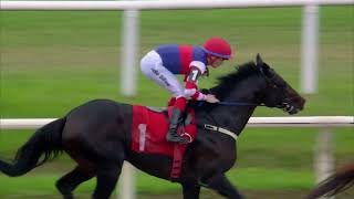 Vidéo de la course PMU PRIX FREDDY MARTINEZ - 20 ANOS LARGARON TV