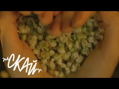СКАЙ - Поки
