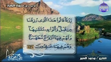 جديد المجد || ما تيسر من سورة البقرة || الشيخ محمد العمر || من مختارات المجد HD