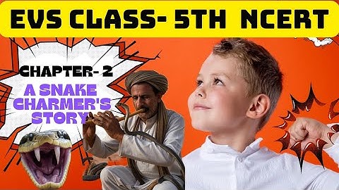 Chapter 2 | A Snake Charmer