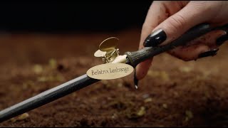 Bellatrix Lestrange Character Wand | Harry Potter | House of Spells