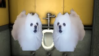 Skibidi Dog Toilet 2