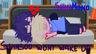 Shinsou Wont Wake Up Shinmono Read Desc