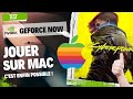 Test ultime de geforce now 2023  oui on peut enfin jouer sur mac comme sur pc  feat rtx 4080