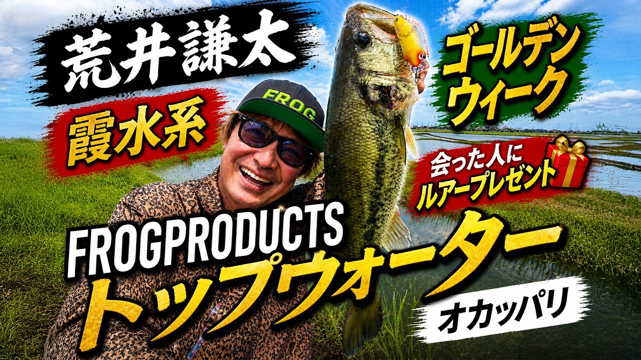 FROG WEB SHOP
