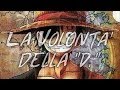 La volont della d  one piece amv