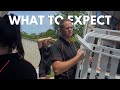 Your Home Staging Journey, Explained - What to expect when working with Foxy Home Staging