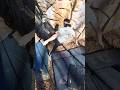 Could have gone worse #climbing #rockclimbing #bouldering #fail #outdoors #outdoorbouldering