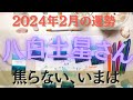【占い】2024年2月の八白土星さんの運勢は？【のぼりつめる！！】