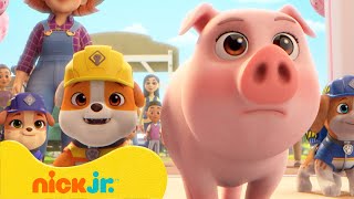 Крепыш И Команда | Крепыш Спасает Милых Зверушек! | Nick Jr. Cyrillic