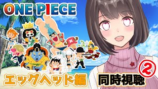 ONE PIECE 同時視聴