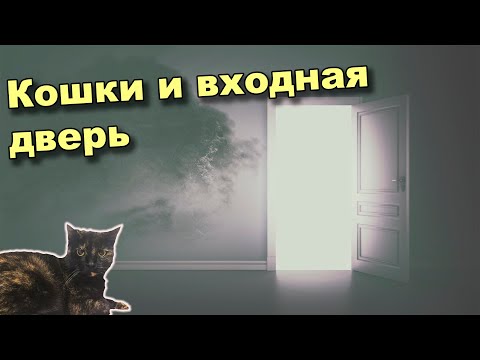 Кошки и входные двери, почему кошки любят стоять у входной двери