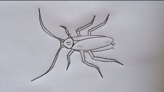 how to draw cockroach|cockroach drawing Step by step