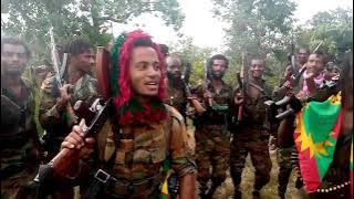 Gurmuu Hawwisoo WBO Zoonii Lixaa Ifaa Raggaasaa ⏮Jaallaankoo⏮ new oromo music 2021