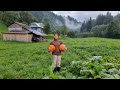 THE WOMAN LIVES ALONE IN THE MOUNTAINS.  Cooking pumpkin porridge in the oven