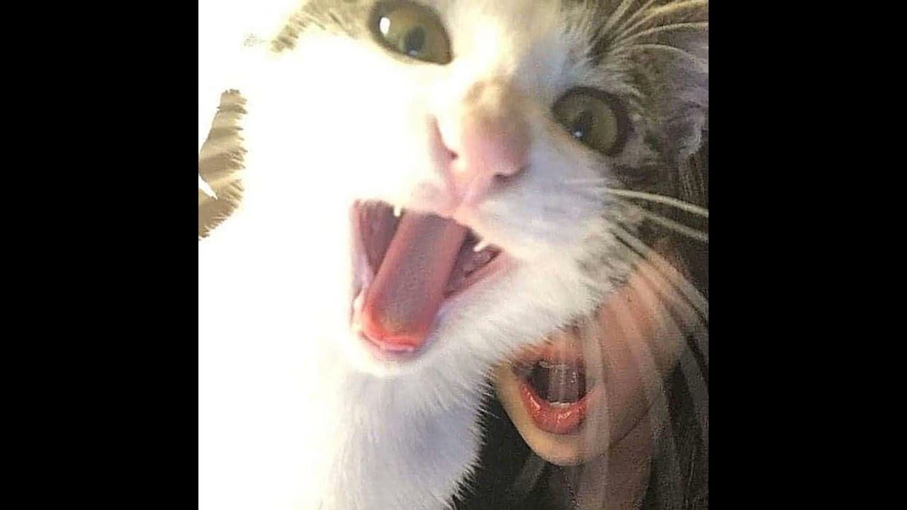 polish speed up songs