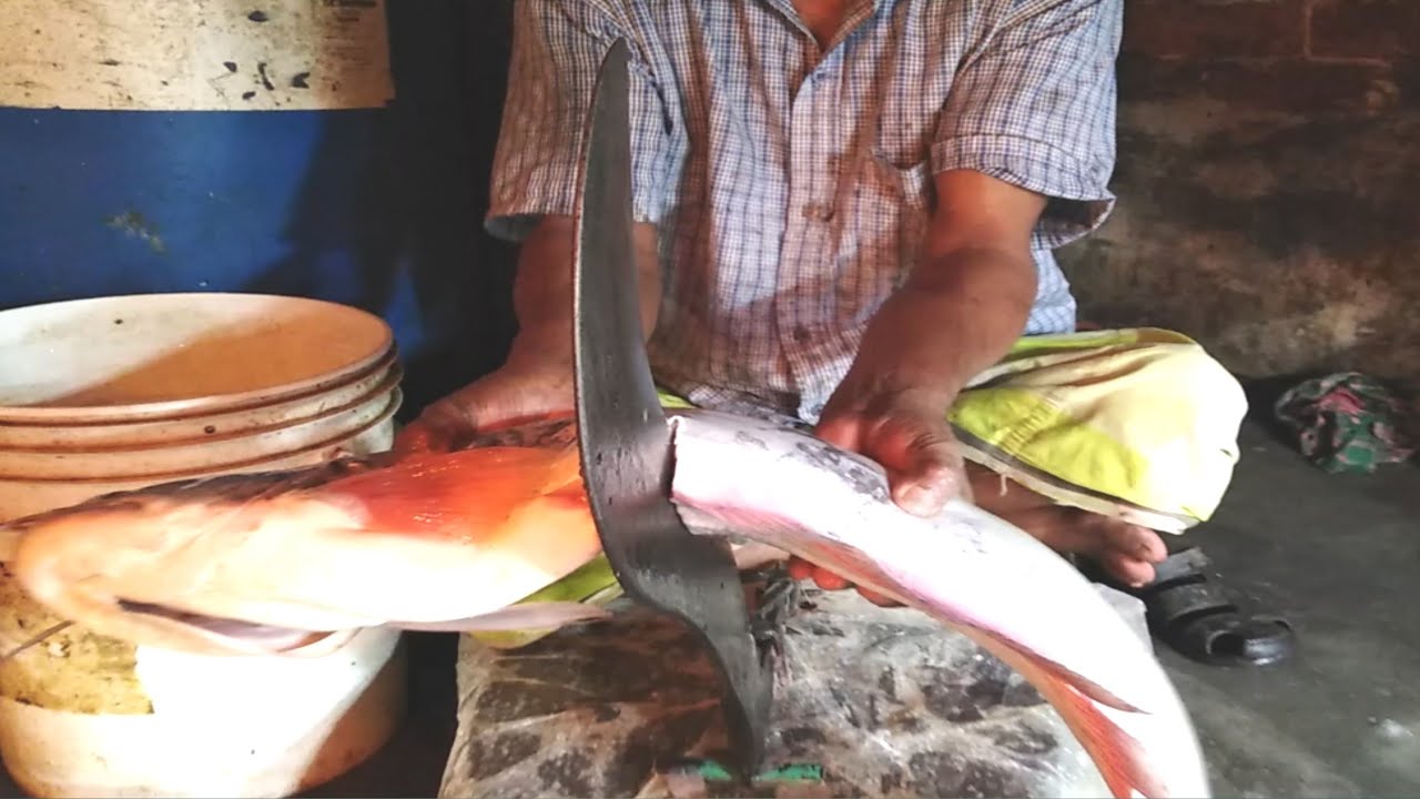 Monstar Boal Fish Cutting By Old Fish Cutter//Big Boal Fish Cutting ...