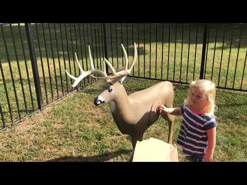 Shooter Buck Bersaglio 3D Per Tiro Con L'Arco – Forma Di Cervo Con Inserti Sostituibili