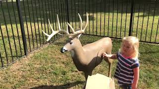Shooter Buck 3D Archery Target Review