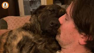 No One Wanted This Puppyuntil She Met One Man She Refused To Leave