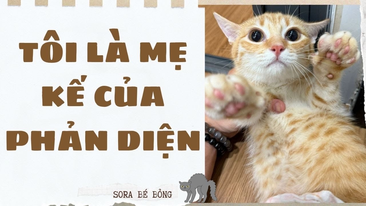 [Truyện Audio ] [FULL] TÔI LÀ MẸ KẾ CỦA PHẢN DIỆN || Sora Bé Bỏng