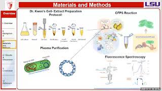 Paula Zapata - Characterization of Fluorescent Proteins