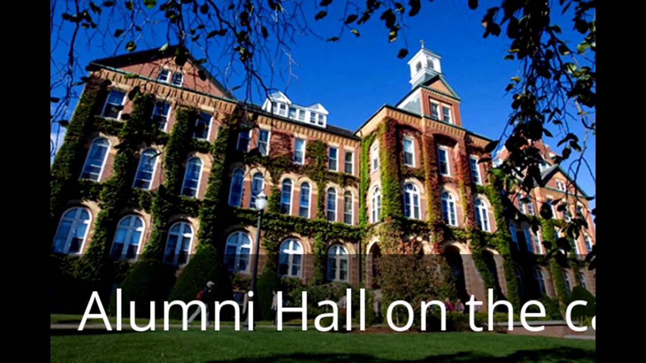 Top 10 Colleges in Us YouTube