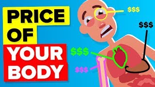 How Much Is An Entire Human Body Worth?