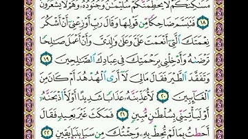 سورة      النمل             صفحة     ٣٧٨              من  الأية( ١٨ ) إلى الأية ( ٢٢ )