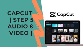 Step 5: Audio and Video options in panels | CapCut Desktop