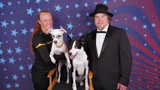 The Canine Stars on America's Got Talent 2021