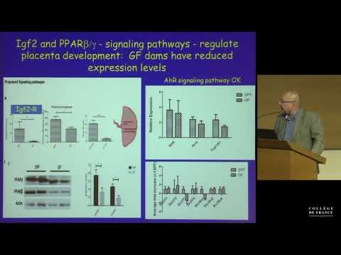 Microbiota, Nutrition and Metabolism (6) - Philippe Sansonetti (2013-2014)