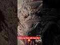 Sabse dangerous video #movie #edit #trending #viral #hindi #feed #youtube #fact #dangerous #animals