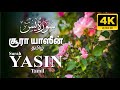 Most beautiful recitation of surah yaseen tamil translation    