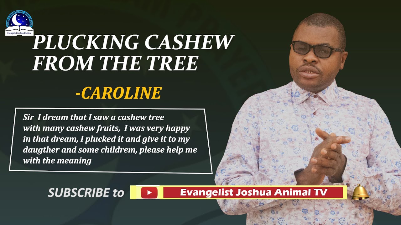 Plucking Cashew Fruits From The Tree Your Dream Biblical Meaning