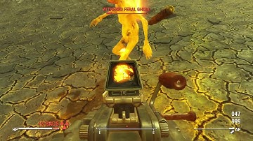 The Rare Encounter With A Chameleon Deathclaw