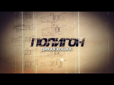 боевая рысь
