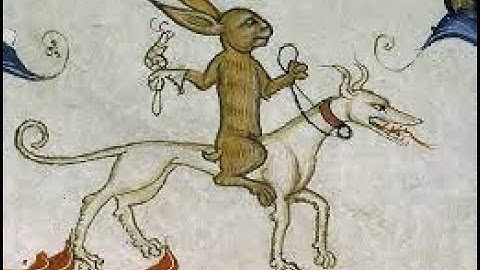 The Battle of Rabbitloo | Napoleon Bonaparte