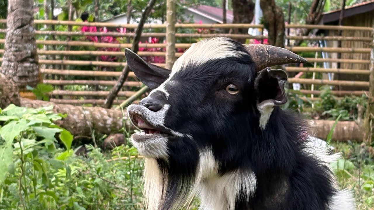 Just another day on the farm