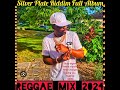 Reggae Mix 2024💯Silver Plate Riddim,busy signal, peter morgan,timeka marshal,more,Nice Reggae riddim