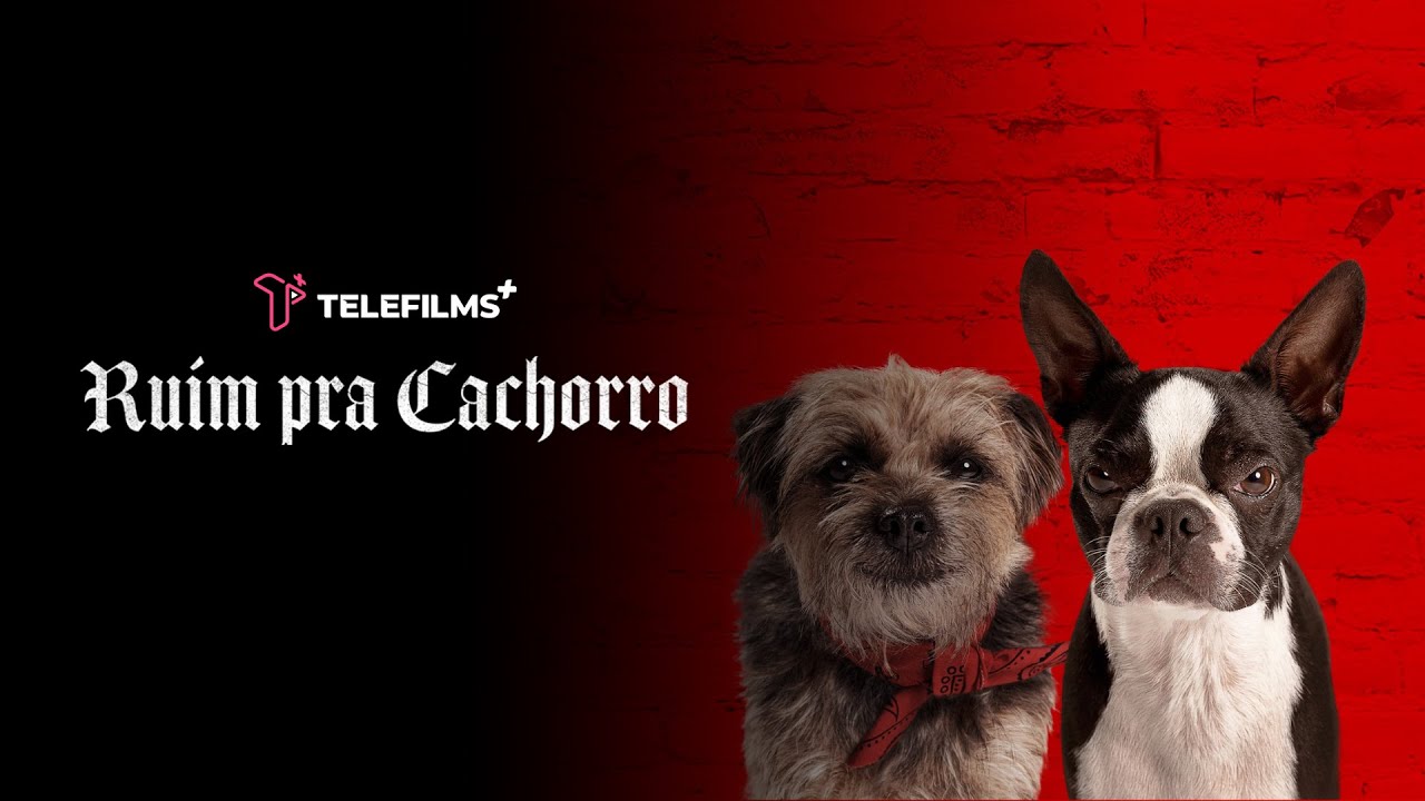 Filme Ruim Pra Cachorro Dublado Online - 3D model by Filme Completo  (@filmecompleto13) [db7d948]