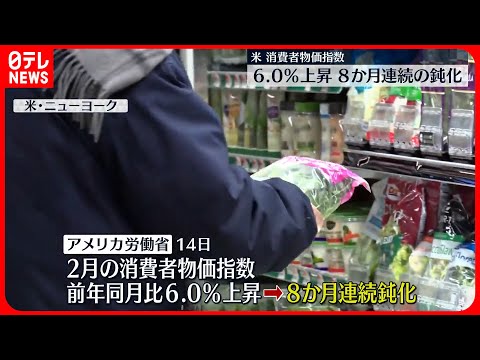 【アメリカ】2月の消費者物価指数  8か月連続で鈍化