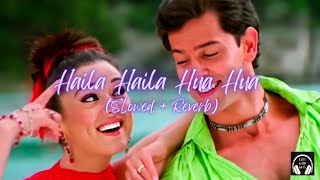 New lofi song | Haila haila hua hua (slowed+reverb) | hrithik roshan songs | koi mil gya #lofi #top