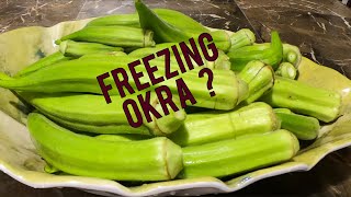 Best Way To Preserve Okra !