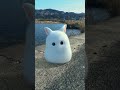トトロもどき