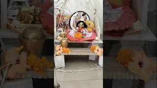 Radhe Radhe 🦚🙏#shorts #viral #laddugopal #radharani #radhekrishnaa #krishnabhajan #harinam#shyam#fyp
